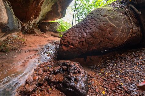 snake rock thailand|THE NAKA CAVE – ROCK FORMATION OF A GIANT SNAKE